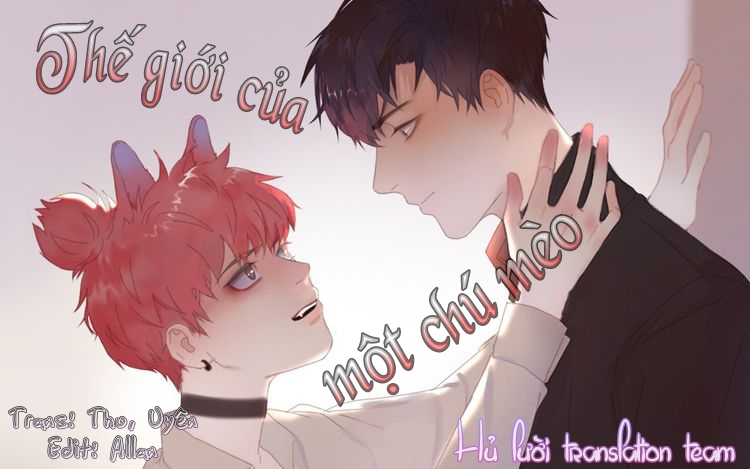 Thế Giới Của Một Chú Mèo